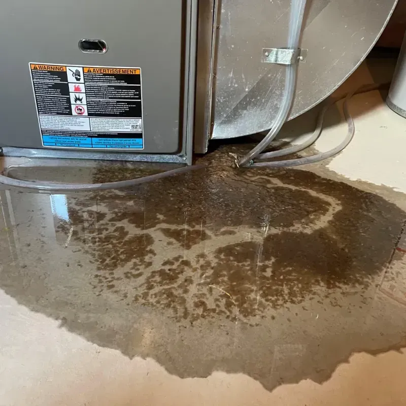 Appliance Leak Cleanup in Eminence, KY